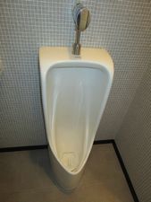 IMG_4315t.jpg