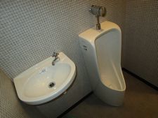 IMG_4314t.jpg