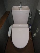 IMG_5403t.jpg