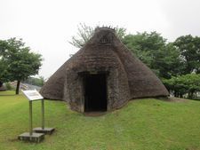 IMG_3342m.jpg