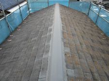 IMG_3692o.jpg