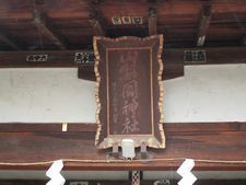 IMG_2822y.jpg