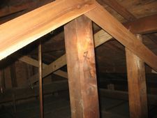 IMG_1067.JPG