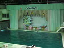 IMG_2053a.jpg