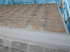 IMG_3690o.jpg
