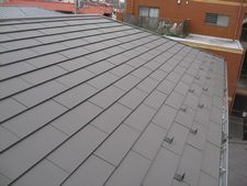 IMG_1169.JPG