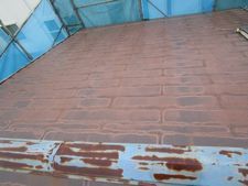 IMG_4708y.jpg