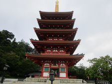 IMG_2341t.jpg