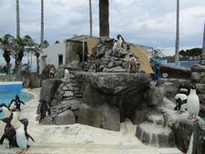 IMG_2022a.jpg