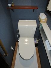 IMG_5403t.jpg