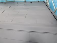 IMG_3780o.jpg