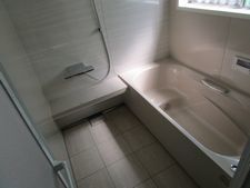 IMG_4641y.jpg