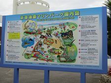 IMG_1989a.jpg
