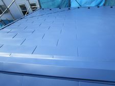 IMG_4750y.jpg